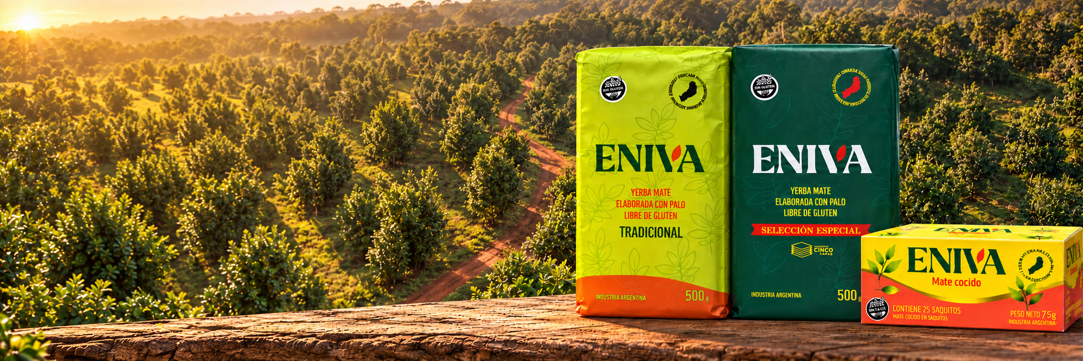 Yerba Mate ENIVA Tradicional, Selección Especial y Mate Cocido frente a un yerbal misionero